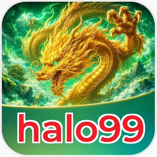 Tampilan antarmuka pengguna halo99 yang ramah dan intuitif.